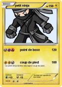 petit ninja