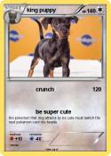 king puppy