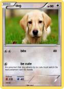 dog