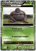 La grosse