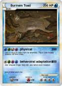 Surinam Toad