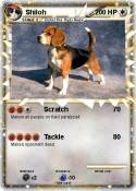 Shiloh