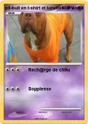 pit-bull en