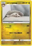 sad hedgehog