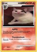 Lil cat 9999999