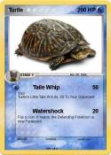 Turtle