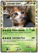Adorable Kitten