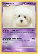 pupsters