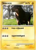 beauceron