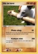 frits de hond