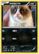 Grumpy Cat