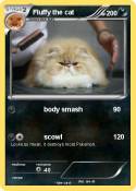 Fluffy the cat