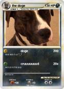 the doge