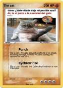 The cat