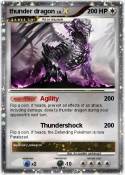 thunder dragon