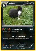lapinou