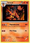 Torracat