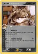 cachat