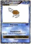 Slidy turtle