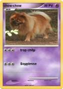chow-chow