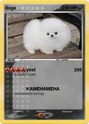 doge