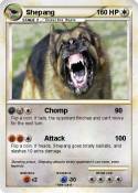Shepang