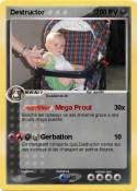 Destructor