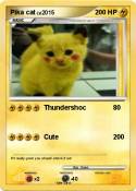 Pika cat
