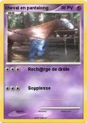 cheval en