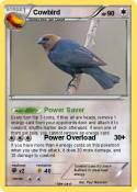Cowbird