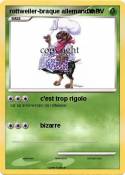 rottweiler-braq