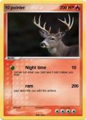 10 pointer