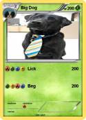 Big Dog
