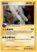 pochy