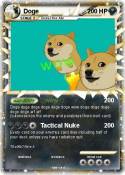 Doge