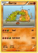 Barf Cat