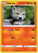 wolf pup