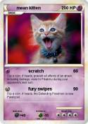 mean kitten