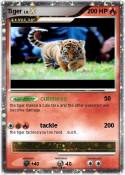 Tiger
