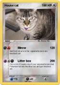 House cat