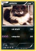 catstache