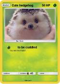 Cute hedgehog