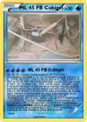 ML 45 FB Cubige