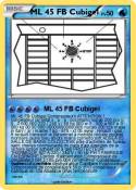 ML 45 FB Cubige