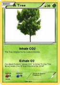 A Tree