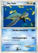 Sea Turtle