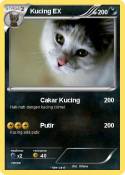 Kucing EX