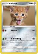 Cat shmat