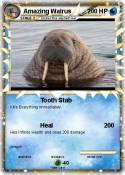 Amazing Walrus