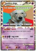politics doge